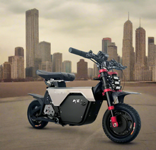 Load image into Gallery viewer, Fiido new model muddy fox e bike 2025 Model - E-Scooter UAE Hub
