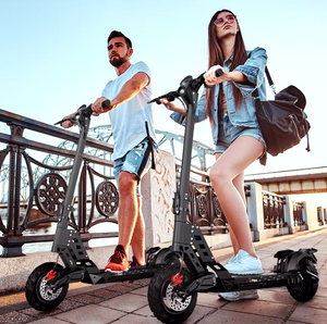 D20 Electric Scooter 48V 15Ah 500W foldable