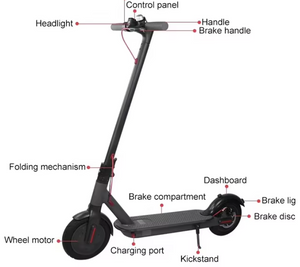 m365 single Electric Scooter 36v 6Ah 350W | app| bell | water resistant