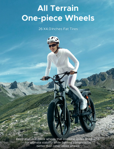 ENGWE X26/X24 Electric Bike