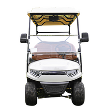 Load image into Gallery viewer, Electric Golf Cart Shopping Mall Airport tour car 6,8 seater
