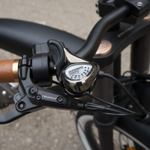 Load image into Gallery viewer, Rayvolt ClubMan Luxury Vintage into MODERN Electric Bicycle
