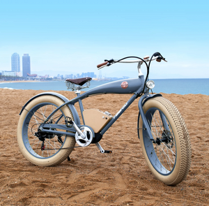 Rayvolt Beachin VINTAGE Electric Bicycle | Luxury city cruze | smart locker