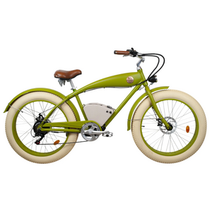 Rayvolt Beachin VINTAGE Electric Bicycle | Luxury city cruze | smart locker