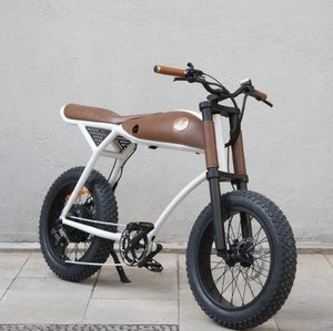 Rayvolt Ringo Electric Bicycle Luxurios Ride Vintage to Modern