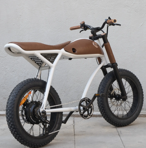 Rayvolt Ringo Electric Bicycle Luxurios Ride Vintage to Modern