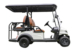 EV Golf Cart Airport shopping mall Tour 04 seater