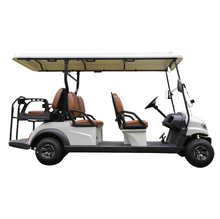 Load image into Gallery viewer, Electric Golf Cart Shopping Mall Airport tour car 6,8 seater
