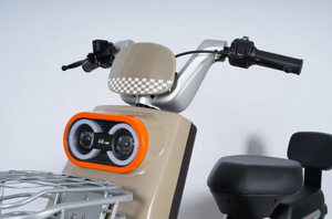 Kugoo Electric Bike Cargo