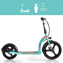 Load image into Gallery viewer, RICH BIT H100 Pro Adult Electric Scooter 36V 350W High Range LG Cell
