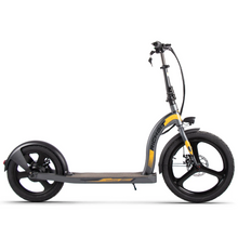 Load image into Gallery viewer, RICH BIT H100 Pro Adult Electric Scooter 36V 350W High Range LG Cell
