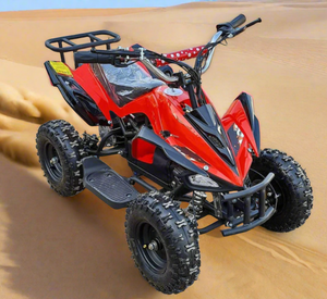 Atv Mini quad Kids Electric Ride on 36V 500W