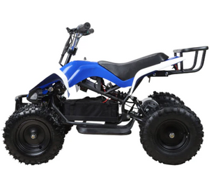 Atv Mini quad Kids Electric Ride on 36V 500W