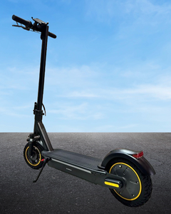 Max Pro Electric Scooter 36V 10Ah 500W