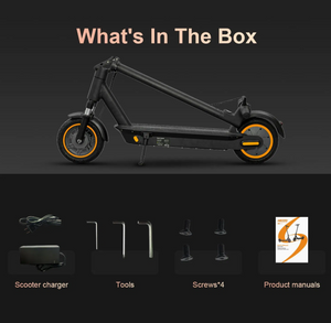 Max Pro Electric Scooter 36V 10Ah 500W