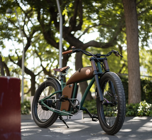 Rayvolt Cruzer L Classic Into Modern Electric Bike