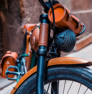 Rayvolt Cruzer L Classic Into Modern Electric Bike