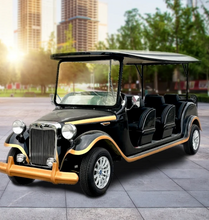 Load image into Gallery viewer, Classic Luxury  Palace Car electric Golf cart
