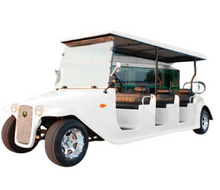 Load image into Gallery viewer, Classic Luxury Palace Car electric Golf cart -white
