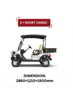 Eco Luxury Golf Cart with 02 seat Short Cargo