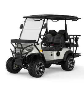 Off Road Golf Cart 2+2 Seat