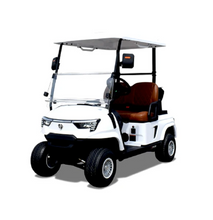 Load image into Gallery viewer, Eco Luxury Golf Cart 2 seater
