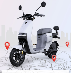 Ninebot A80+ Electric Bike 80km Range 2024 Model