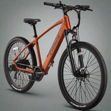 Load image into Gallery viewer, Trinkx Electric Bike 350W 36V 10Ah
