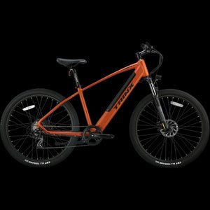 Trinkx Electric Bike 350W 36V 10Ah