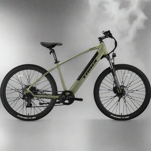 Trinkx Electric Bike 350W 36V 10Ah