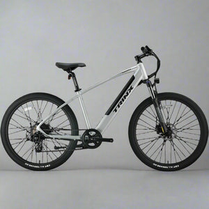 Trinkx Electric Bike 350W 36V 10Ah