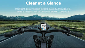 ENGWE X26/X24 Electric Bike