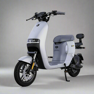 Ninebot A80+ Electric Bike 80km Range 2024 Model