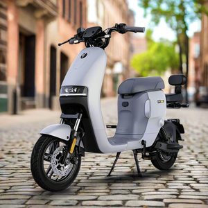 Ninebot A80+ Electric Bike 80km Range 2024 Model