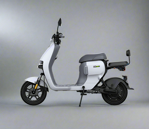 Ninebot A80+ Electric Bike 80km Range 2024 Model